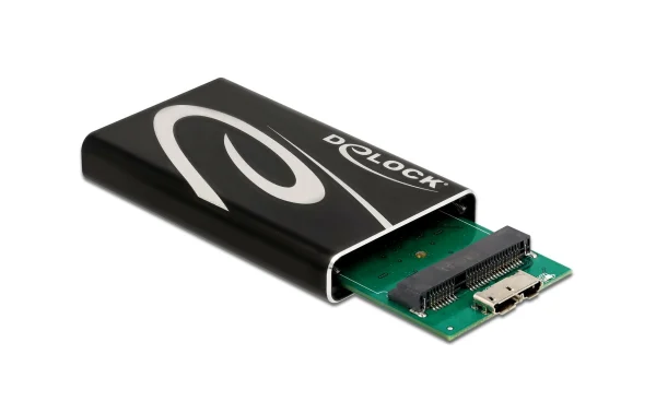 france DeLock Boîtier Externe SuperSpeed USB Pour MSATA – Disques Durs Externes 1