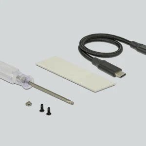 DeLock Boîtier Externe USB-C 3.1 Gen2 Pour M.2 NVME SSD M.2 – Disques Durs Externes Neuve avec étiquette 9