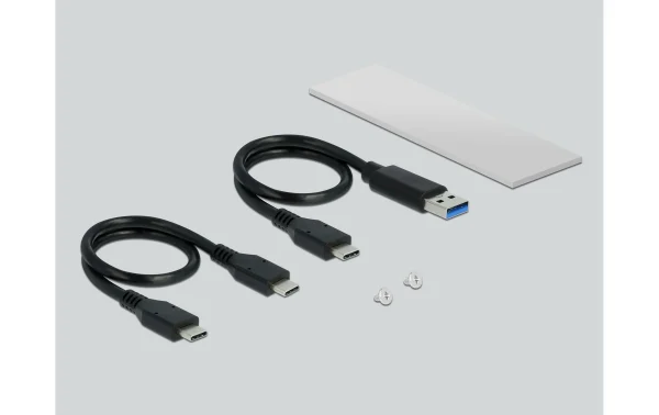 magasin DeLock Boîtier Externe USB-C – M.2 Key-M, NVME Externe – Disques Durs Externes 4