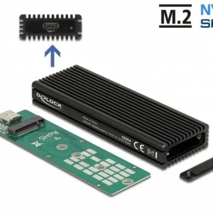 outlet DeLock Boîtier Externe 42004 USB 3.1 Gen.2 Typ-C – M.2 SATA/NVMe – Disques Durs Externes 7