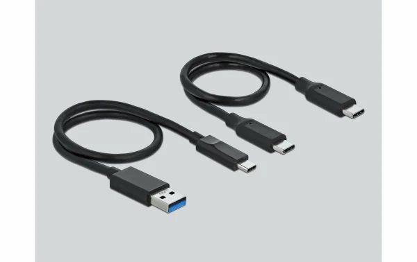 DeLock Station D’accueil USB-C – M.2 NVMe – Accessoires Supports De Mémoire haute qualité 3