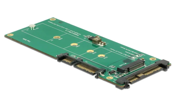 marque pas cher en ligne DeLock Platine Adaptatrice M.2 NVMe – U.2/SATA – Accessoires Supports De Mémoire 3