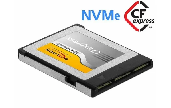 magasin solde DeLock Carte CFexpress 54066 256 GB – Cartes Mémoire 3
