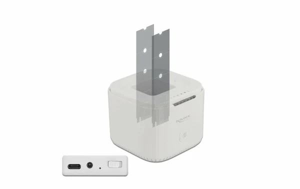 REMISE DeLock Station D’accueil M.2 NVME SSD Avec Fonction De Clonage – Accessoires Supports De Mémoire 1