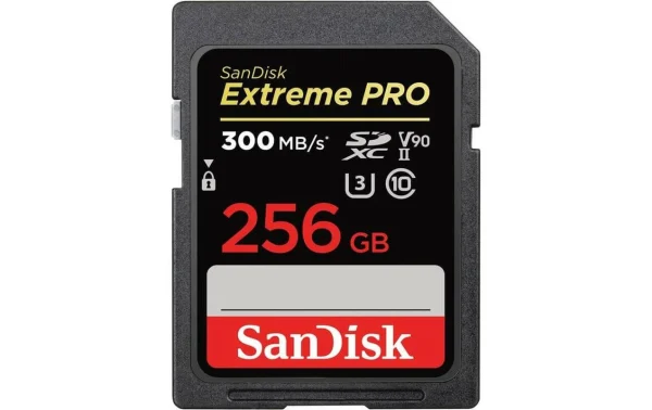 SanDisk Carte SDHC Extreme PRO UHS-II 256 GB – Cartes Mémoire économies garanties 1