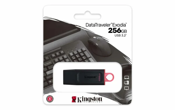 acheter Kingston Clé USB DataTraveler Exodia 256 GB – Sticks USB 4