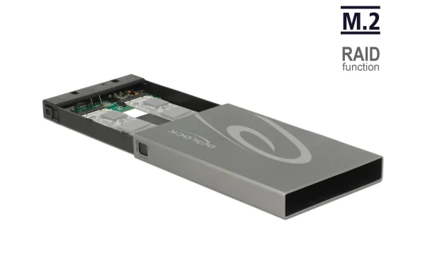 vente chaude DeLock Boîtier Externe 42589 M.2 Avec Raid – Disques Durs Externes 3